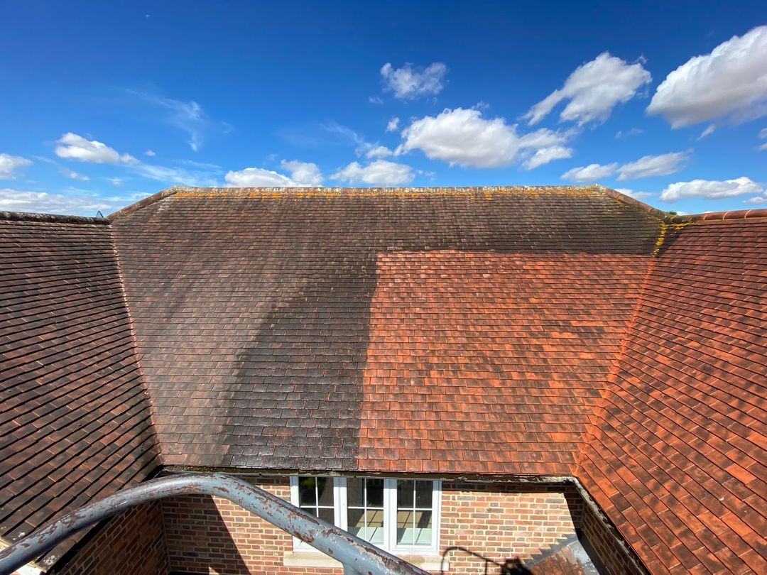 Roof clean and treat Essex